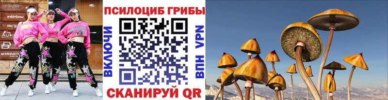 купить наркотики сайты  Покров  Псилоцибиновые грибы прущие грибы 