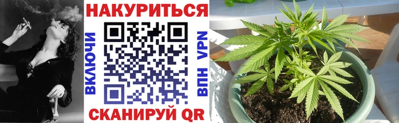 МЕГА ССЫЛКА  сколько стоит  Покров  Канабис ГИДРОПОН 